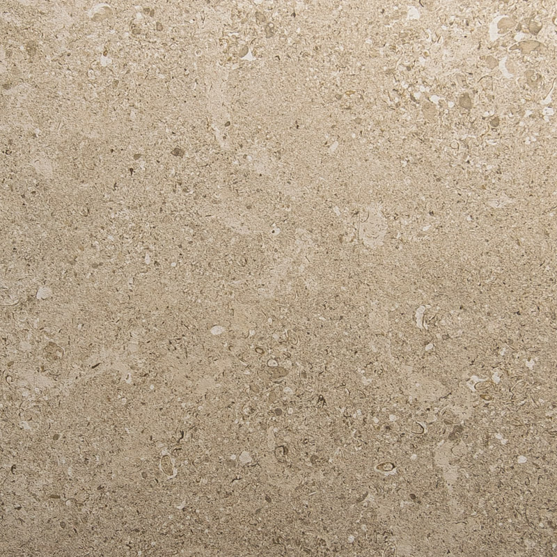 Dignitary Notable Beige
